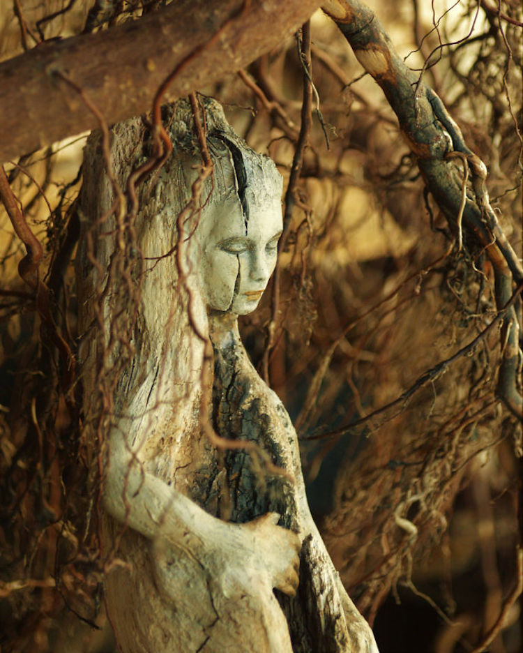 Elements Of Nature Transformed Into Stunning Mystical Sculptures By Debra Bernier 9