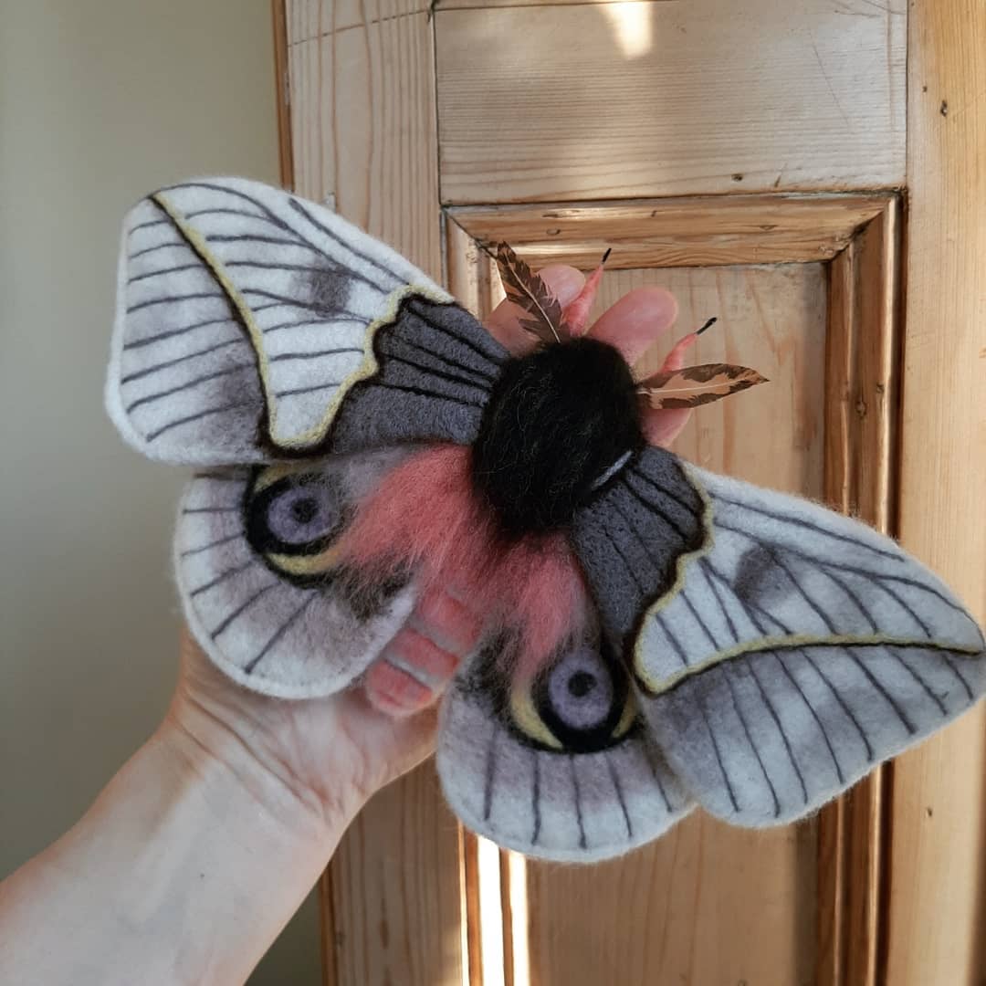 Lovely Realistic Needle Felted Moths By Stella Collins 6