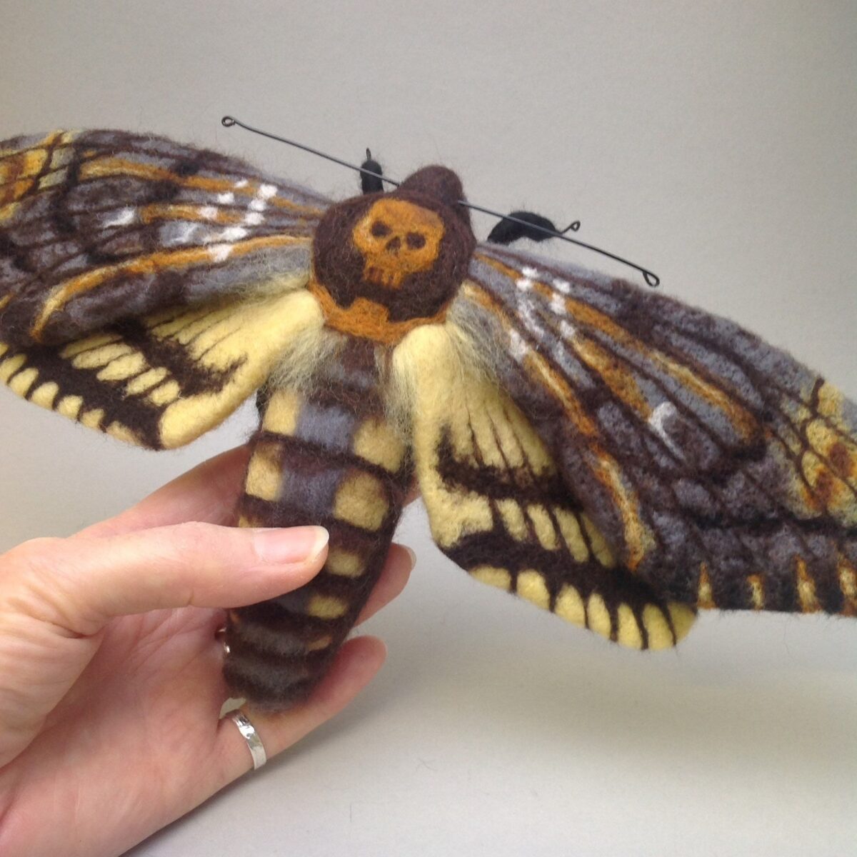 Lovely Realistic Needle Felted Moths By Stella Collins 9