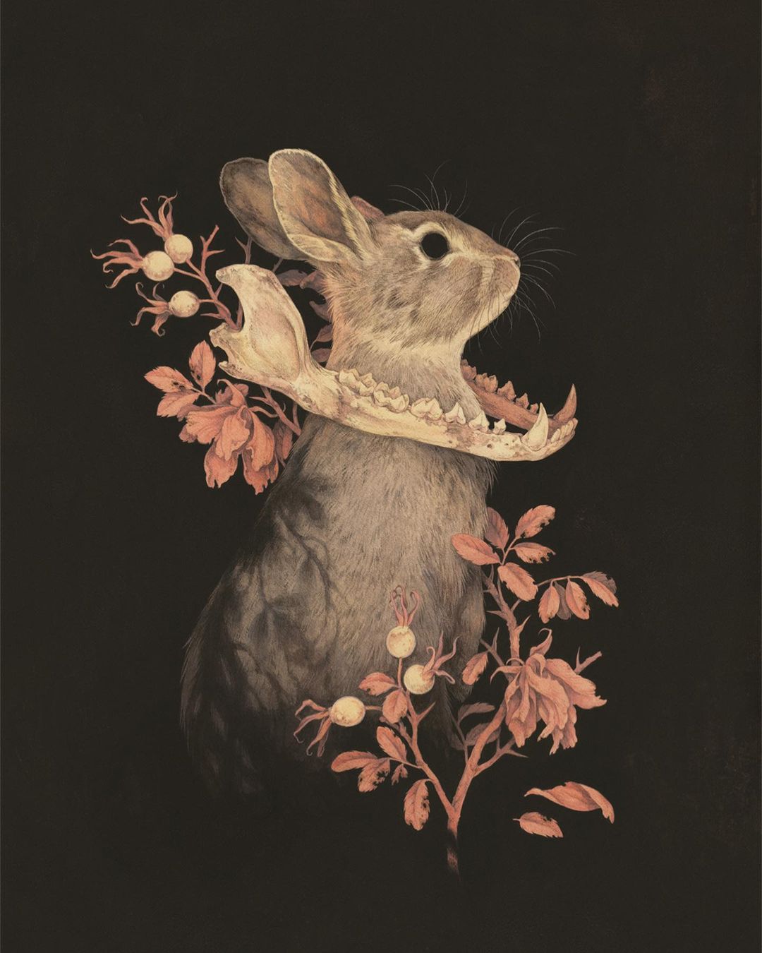 Sublime Flora And Fauna Illustrative Paintings By Teagan White 3