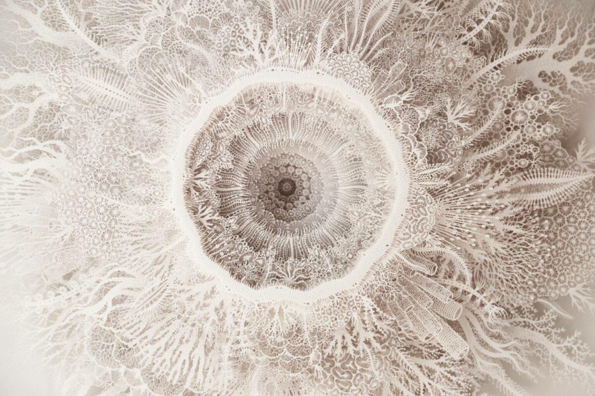The Beautifully Intricate Paper Cut Sculptures Inspired By Corals And Microorganisms Of Rogan Brown 1
