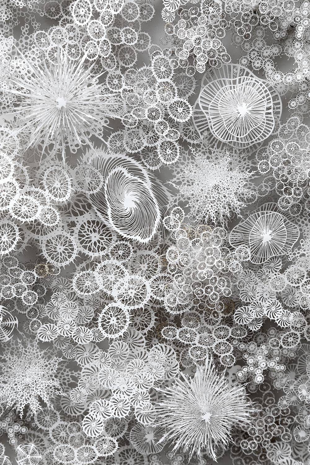 The Beautifully Intricate Paper Cut Sculptures Inspired By Corals And Microorganisms Of Rogan Brown 11