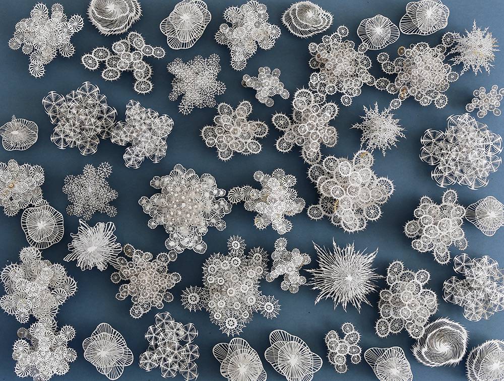 The Beautifully Intricate Paper Cut Sculptures Inspired By Corals And Microorganisms Of Rogan Brown 12