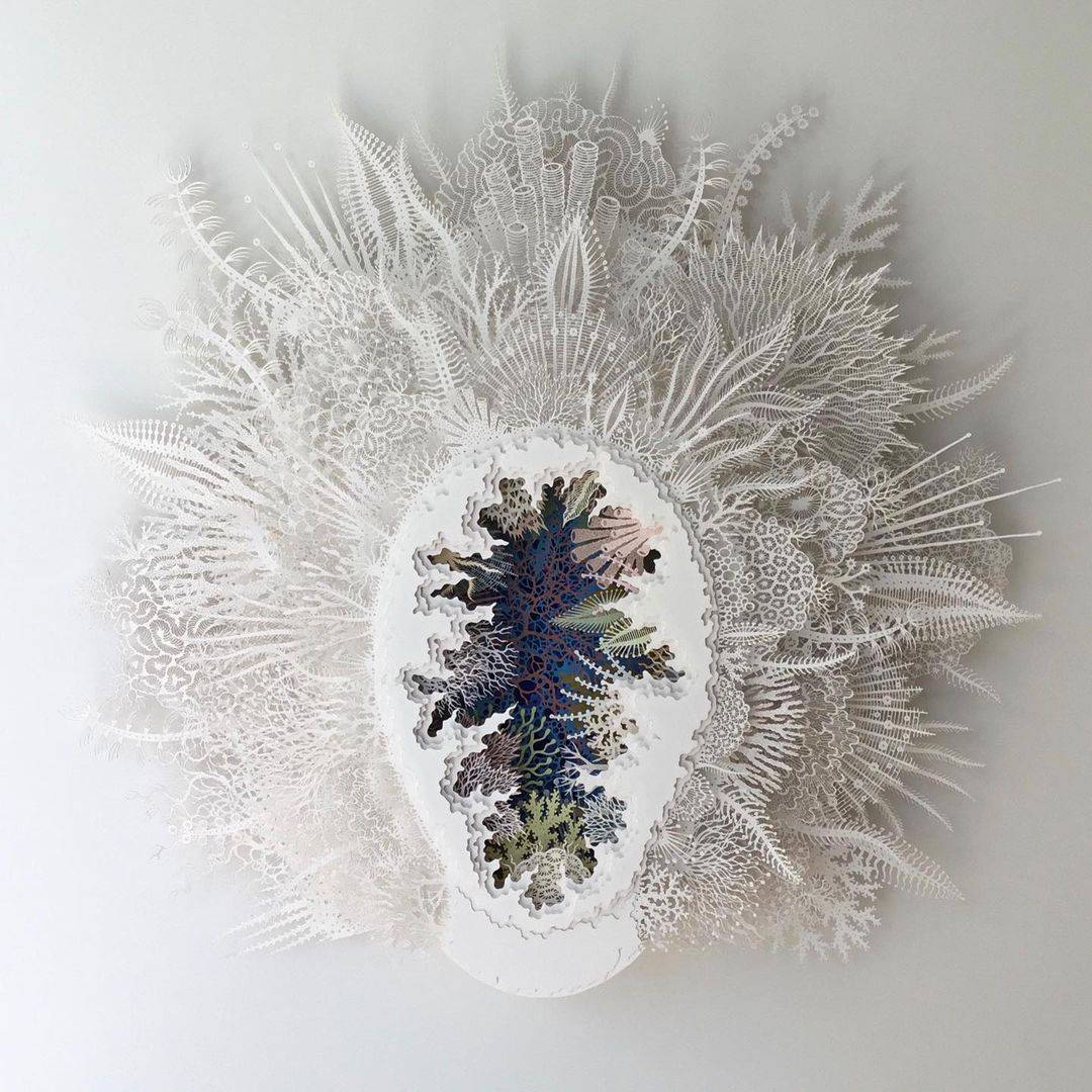 The Beautifully Intricate Paper Cut Sculptures Inspired By Corals And Microorganisms Of Rogan Brown 16