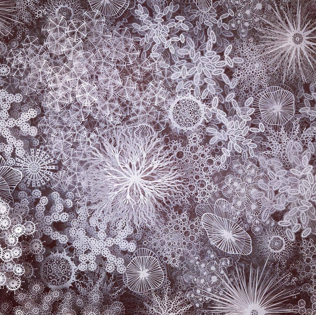 The Beautifully Intricate Paper Cut Sculptures Inspired By Corals And Microorganisms Of Rogan Brown 18