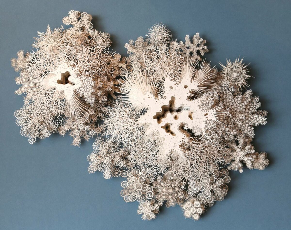 The Beautifully Intricate Paper Cut Sculptures Inspired By Corals And Microorganisms Of Rogan Brown 21