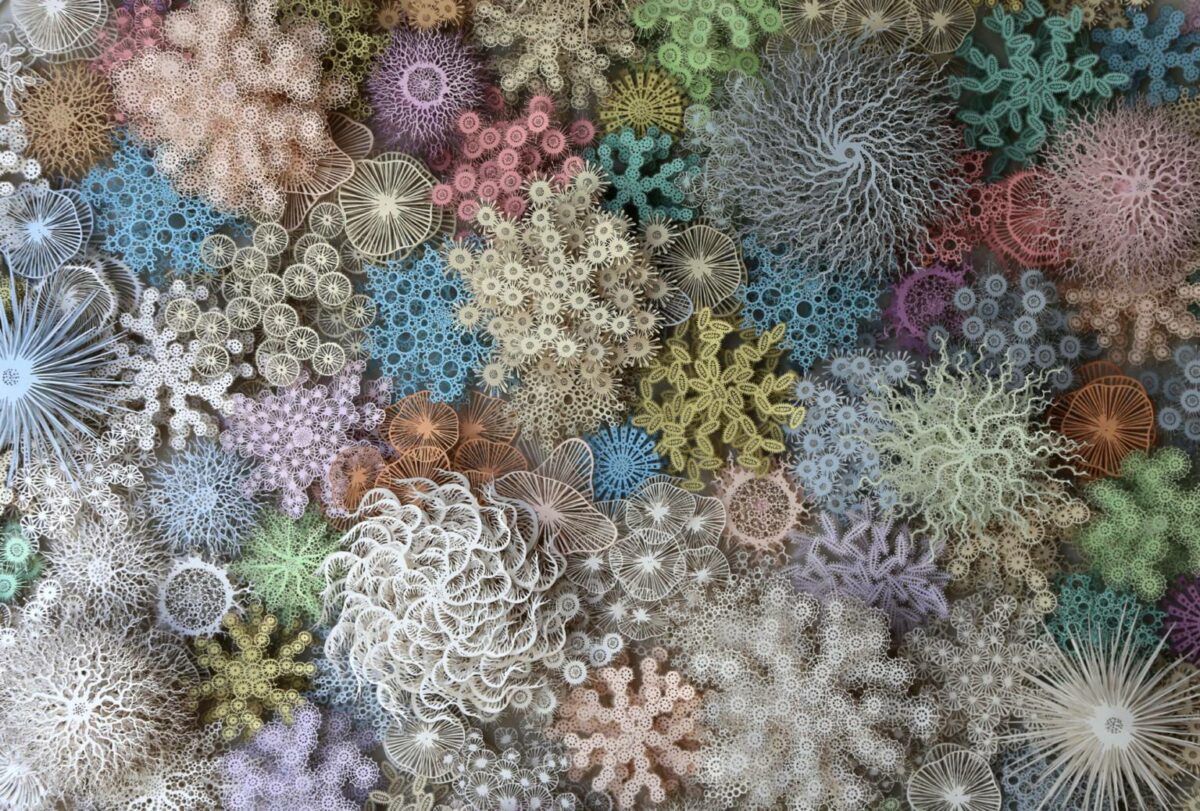 The Beautifully Intricate Paper Cut Sculptures Inspired By Corals And Microorganisms Of Rogan Brown 24