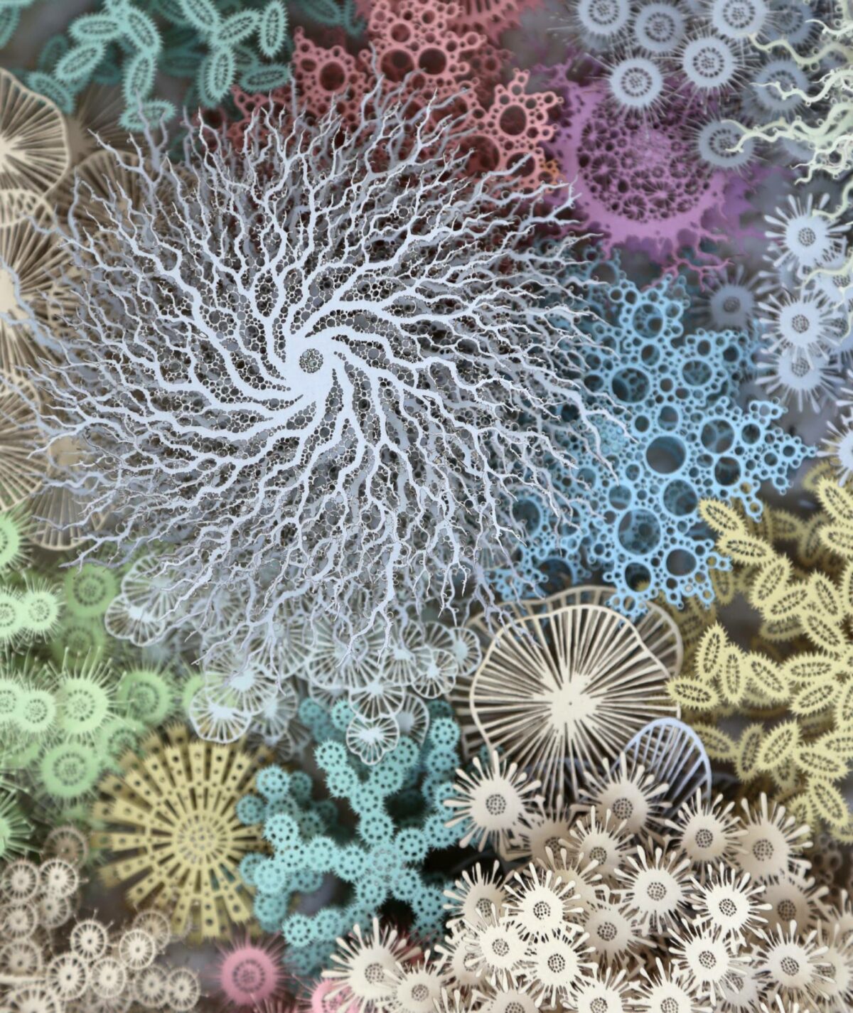 The Beautifully Intricate Paper Cut Sculptures Inspired By Corals And Microorganisms Of Rogan Brown 25