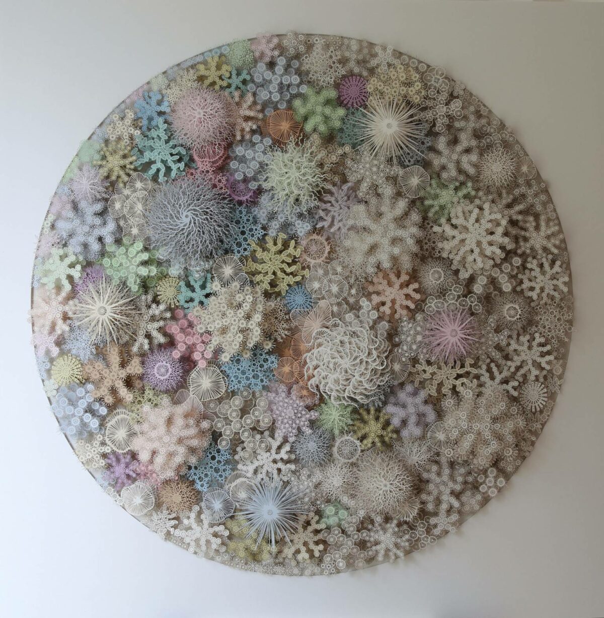 The Beautifully Intricate Paper Cut Sculptures Inspired By Corals And Microorganisms Of Rogan Brown 26