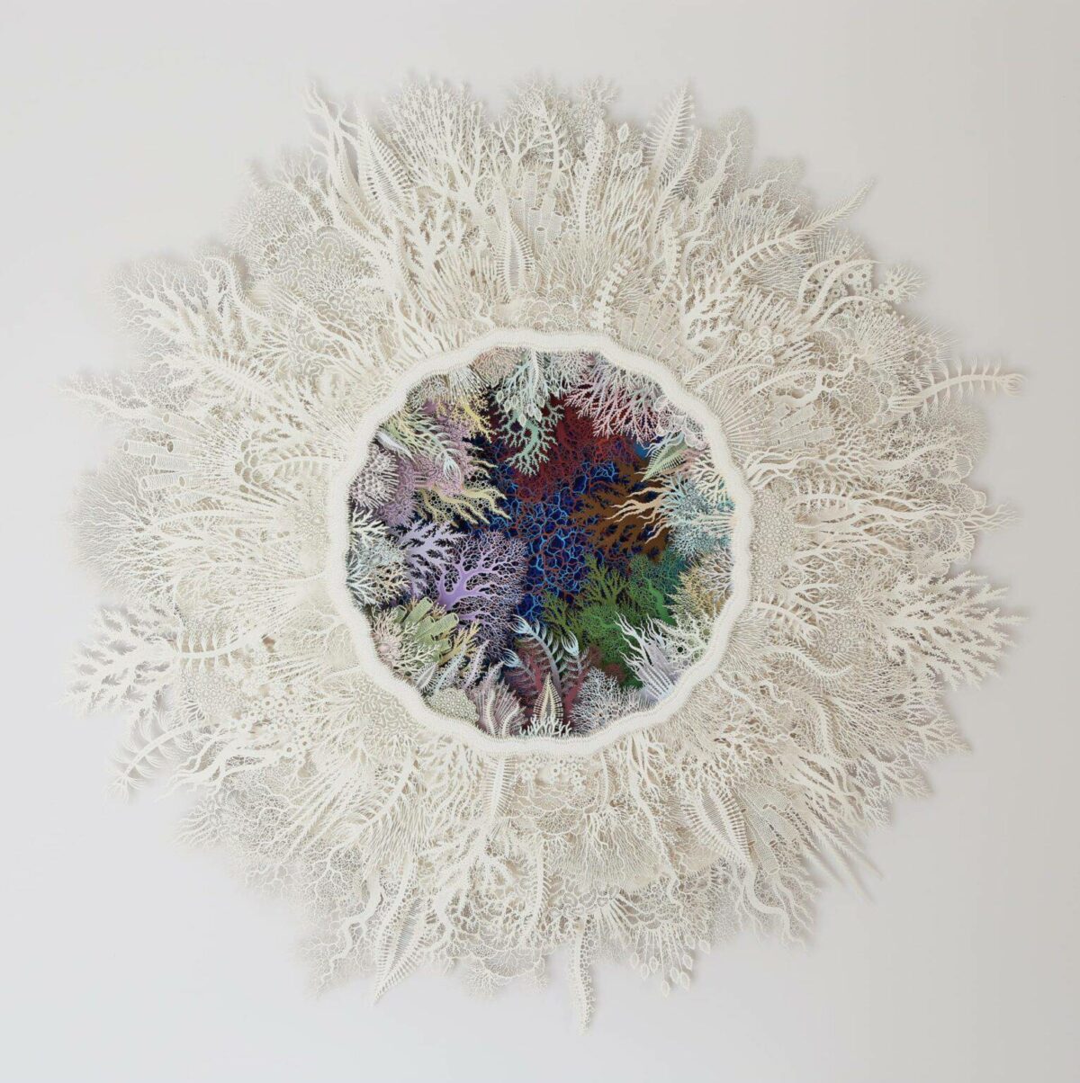 The Beautifully Intricate Paper Cut Sculptures Inspired By Corals And Microorganisms Of Rogan Brown 4
