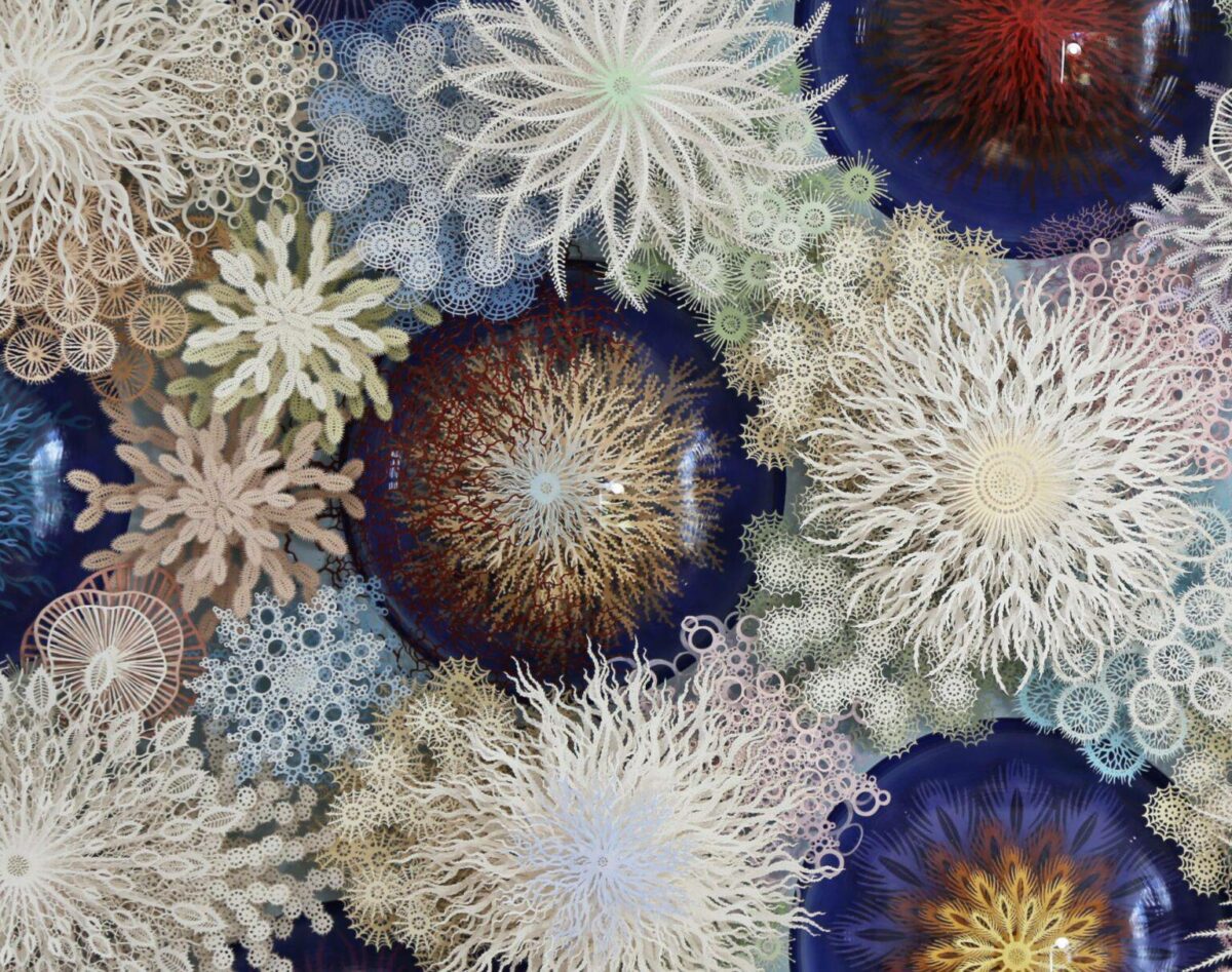 The Beautifully Intricate Paper Cut Sculptures Inspired By Corals And Microorganisms Of Rogan Brown 5