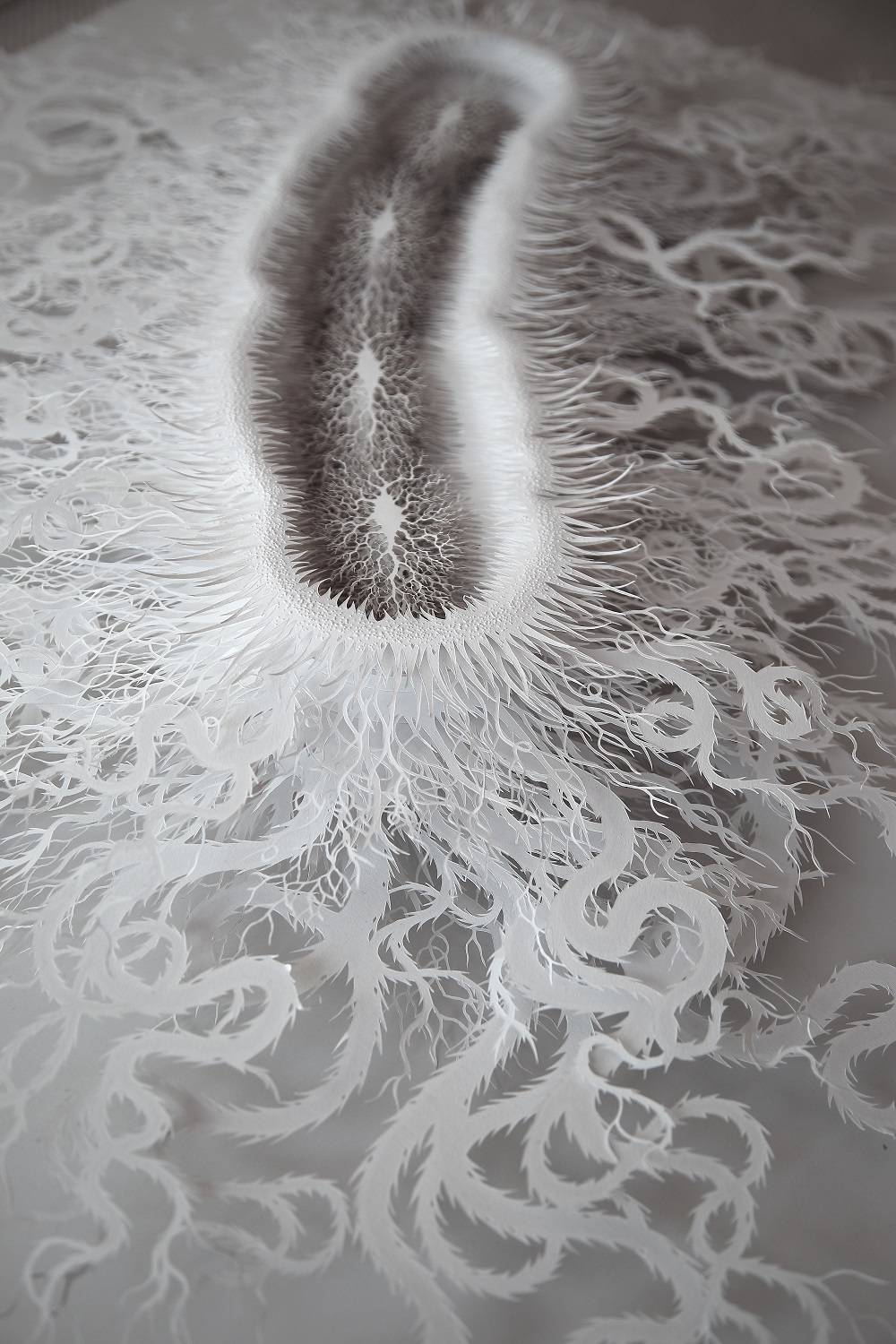 The Beautifully Intricate Paper Cut Sculptures Inspired By Corals And Microorganisms Of Rogan Brown 7