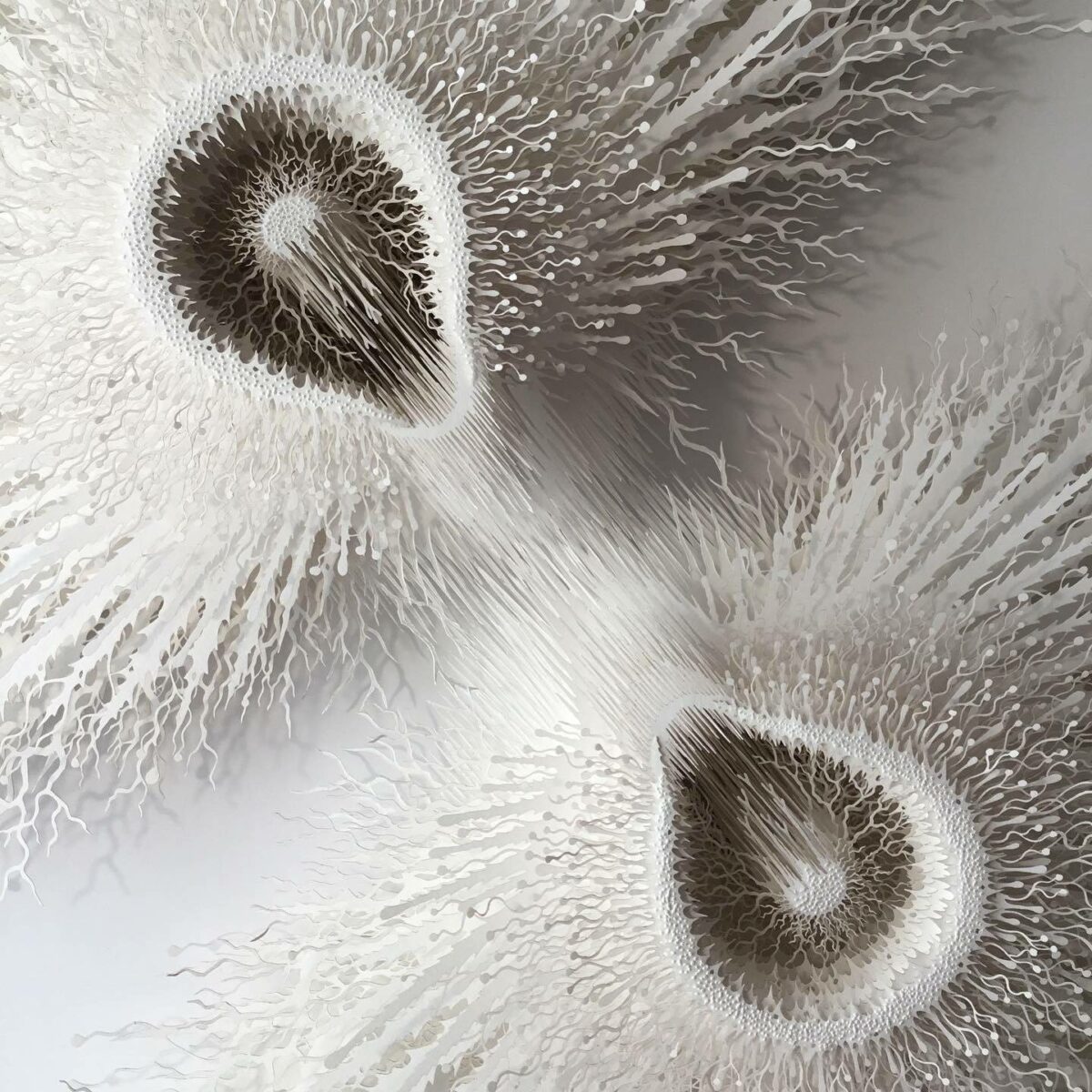 The Beautifully Intricate Paper Cut Sculptures Inspired By Corals And Microorganisms Of Rogan Brown 8