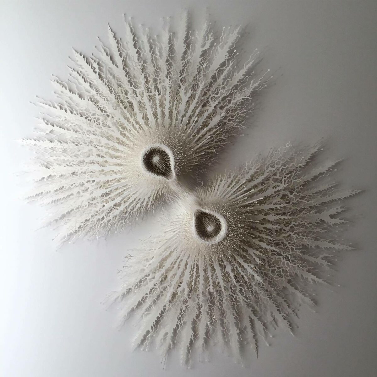 The Beautifully Intricate Paper Cut Sculptures Inspired By Corals And Microorganisms Of Rogan Brown 9