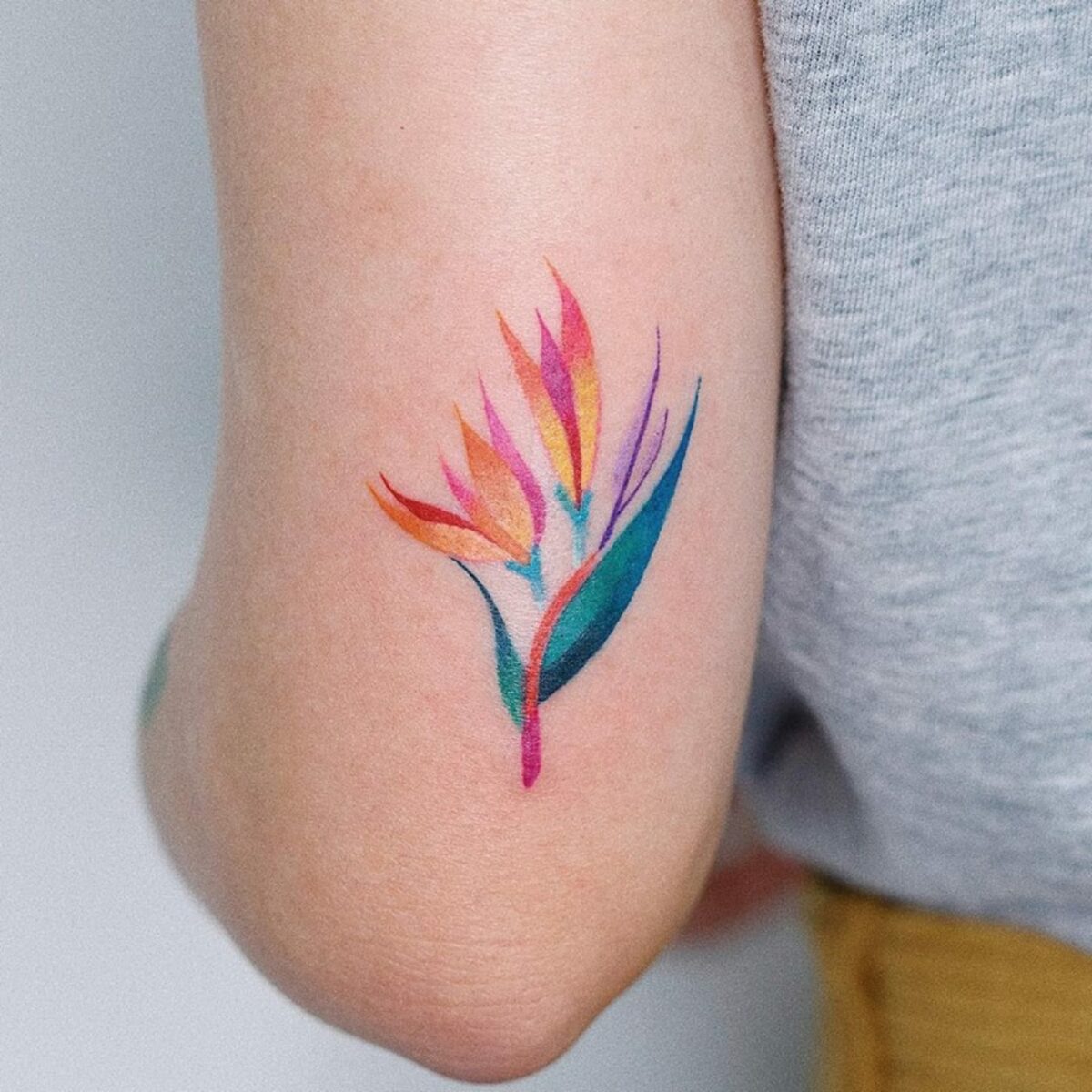 Vibrant And Multicolored Fauna And Flora Tattoos By Zihee 10