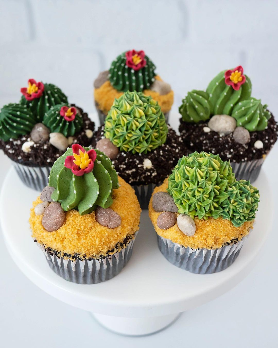 Wonderful Buttercream Cacti And Succulents By Leslie Vigil 1