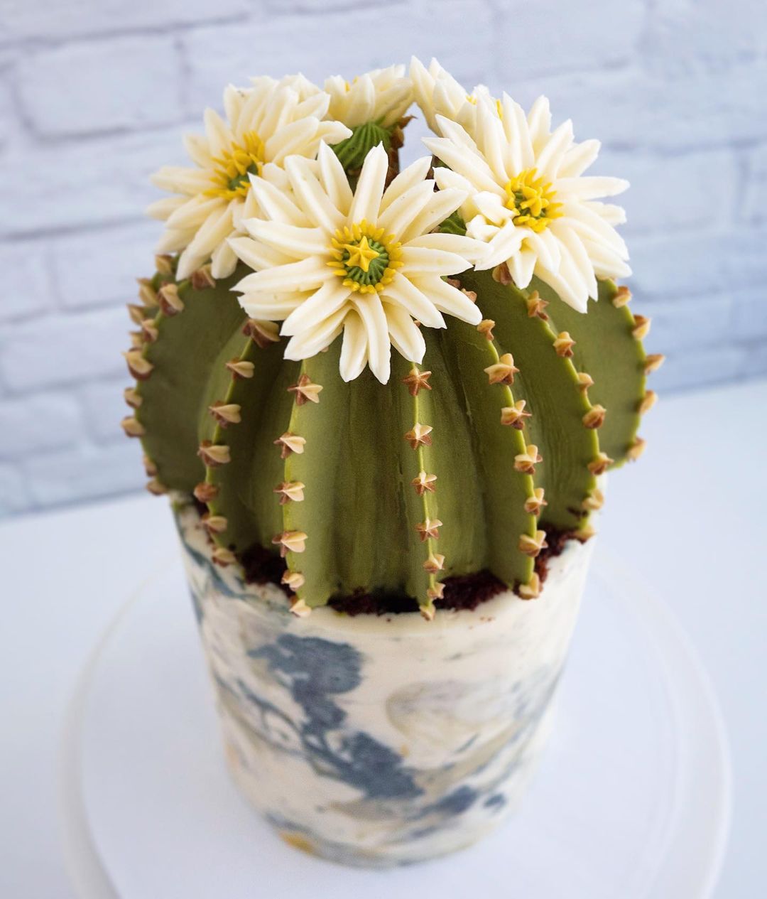 Wonderful Buttercream Cacti And Succulents By Leslie Vigil 10