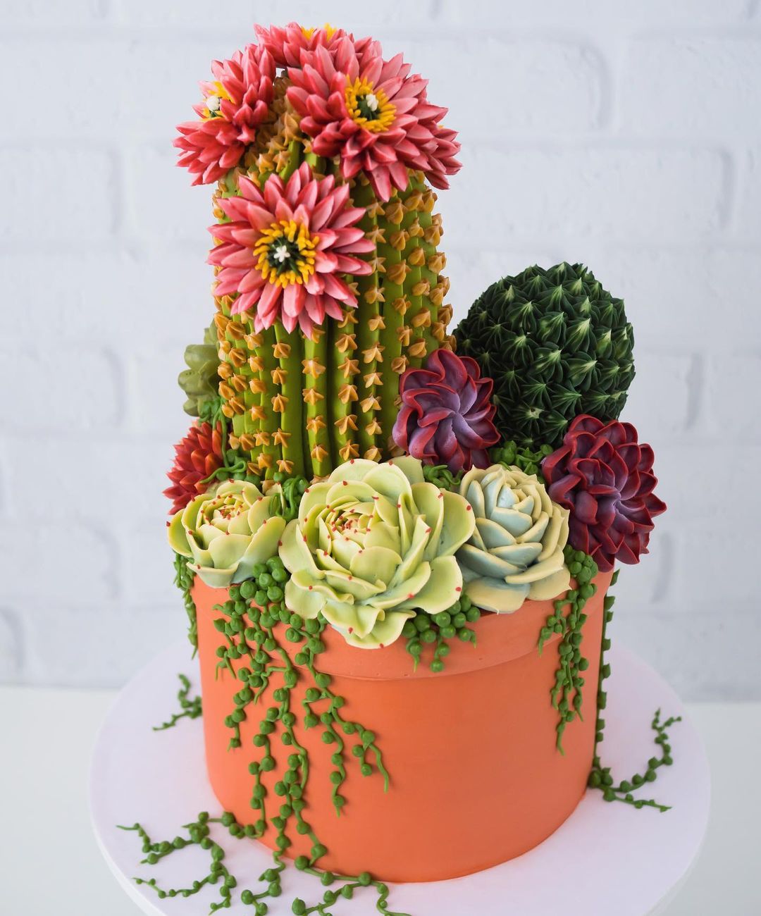 Wonderful Buttercream Cacti And Succulents By Leslie Vigil 2