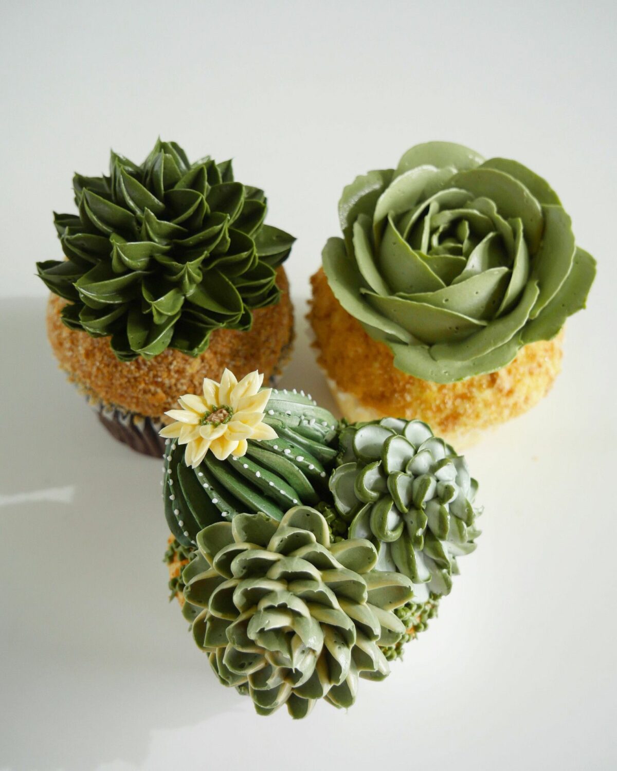 Wonderful Buttercream Cacti And Succulents By Leslie Vigil 5