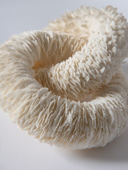 Delicate Bloom And Petal Based Ceramic Sculptures By Jennifer Hickey 2
