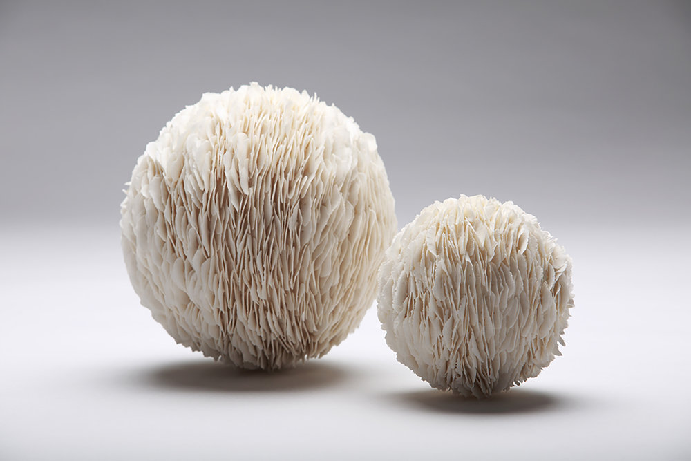 Delicate Bloom And Petal Based Ceramic Sculptures By Jennifer Hickey 3