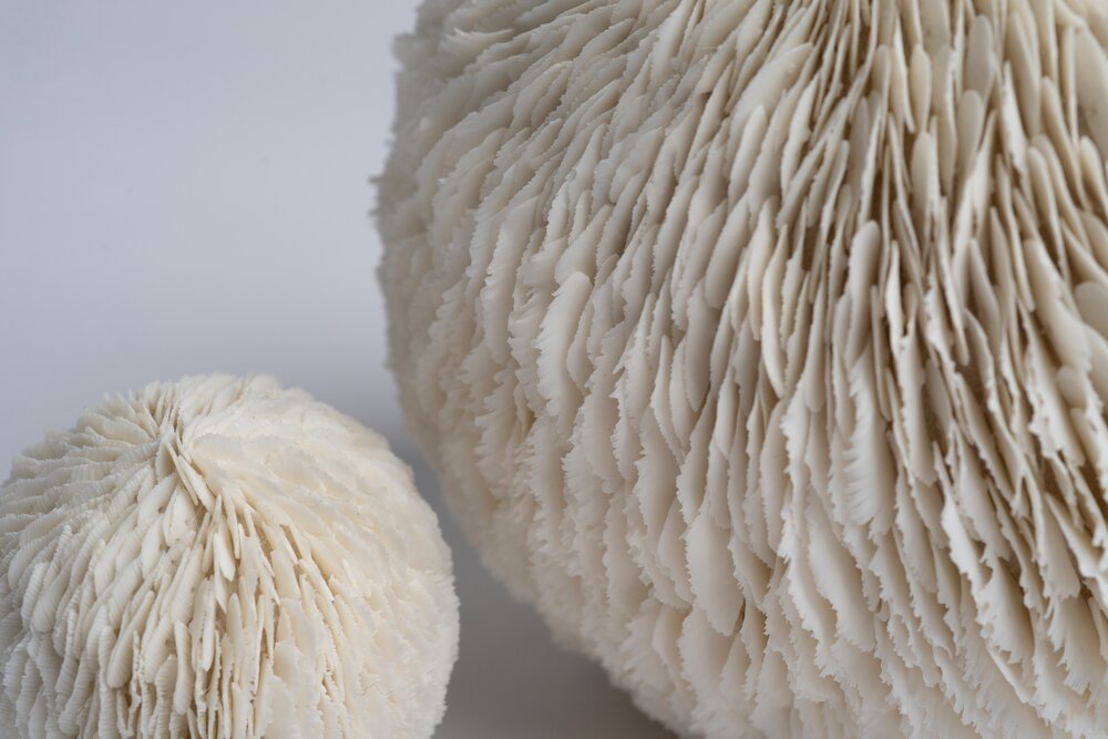 Delicate Bloom And Petal Based Ceramic Sculptures By Jennifer Hickey 4