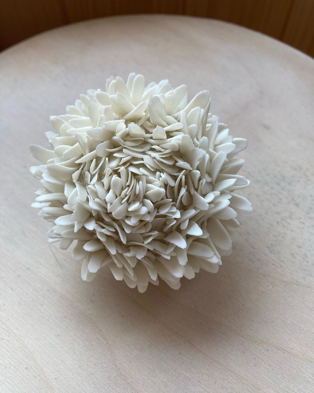 Delicate Bloom And Petal Based Ceramic Sculptures By Jennifer Hickey 5