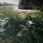 Exuberant hyper-realistic plant paintings by Ieva Kampe Krumholca