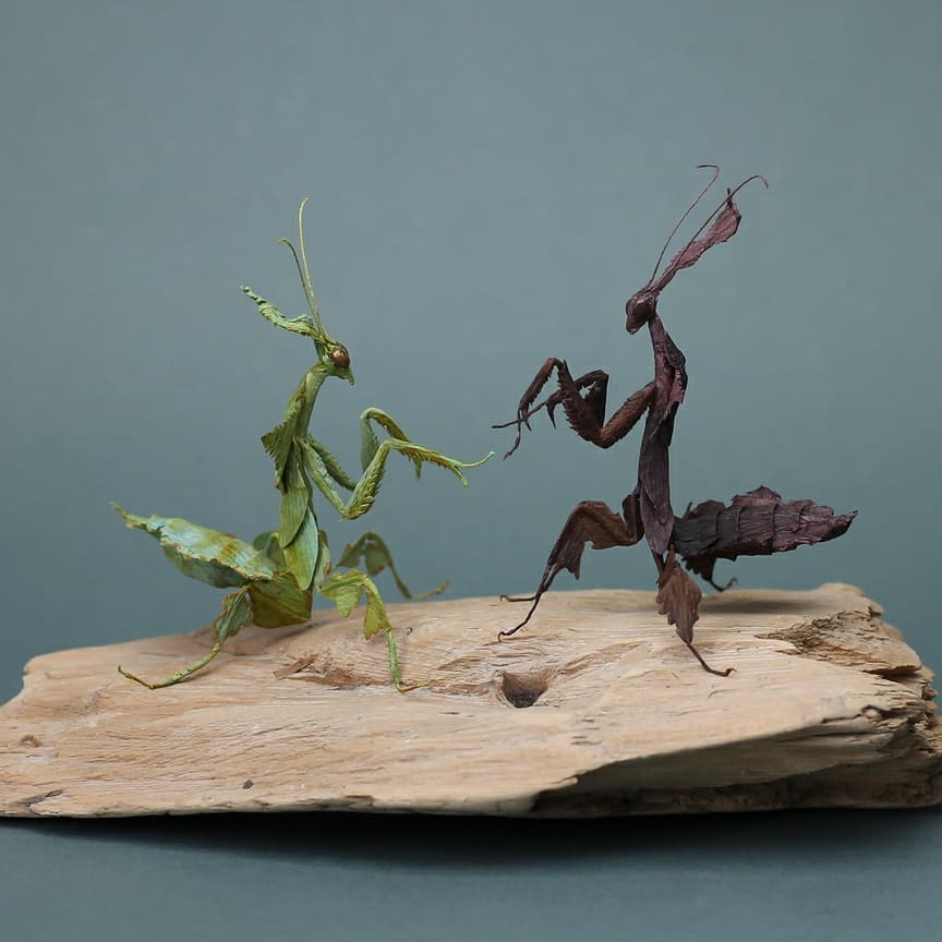 Life Like Paper Sculptures Of Animals And Plants By Tina Kraus 1