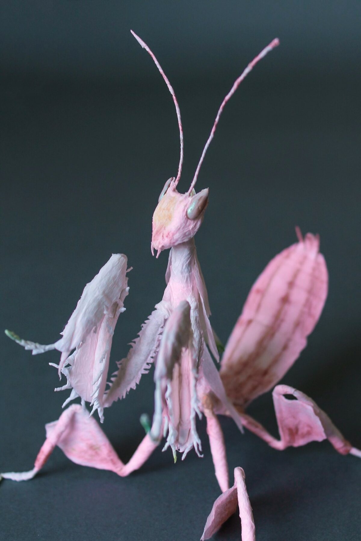 Life Like Paper Sculptures Of Animals And Plants By Tina Kraus 11