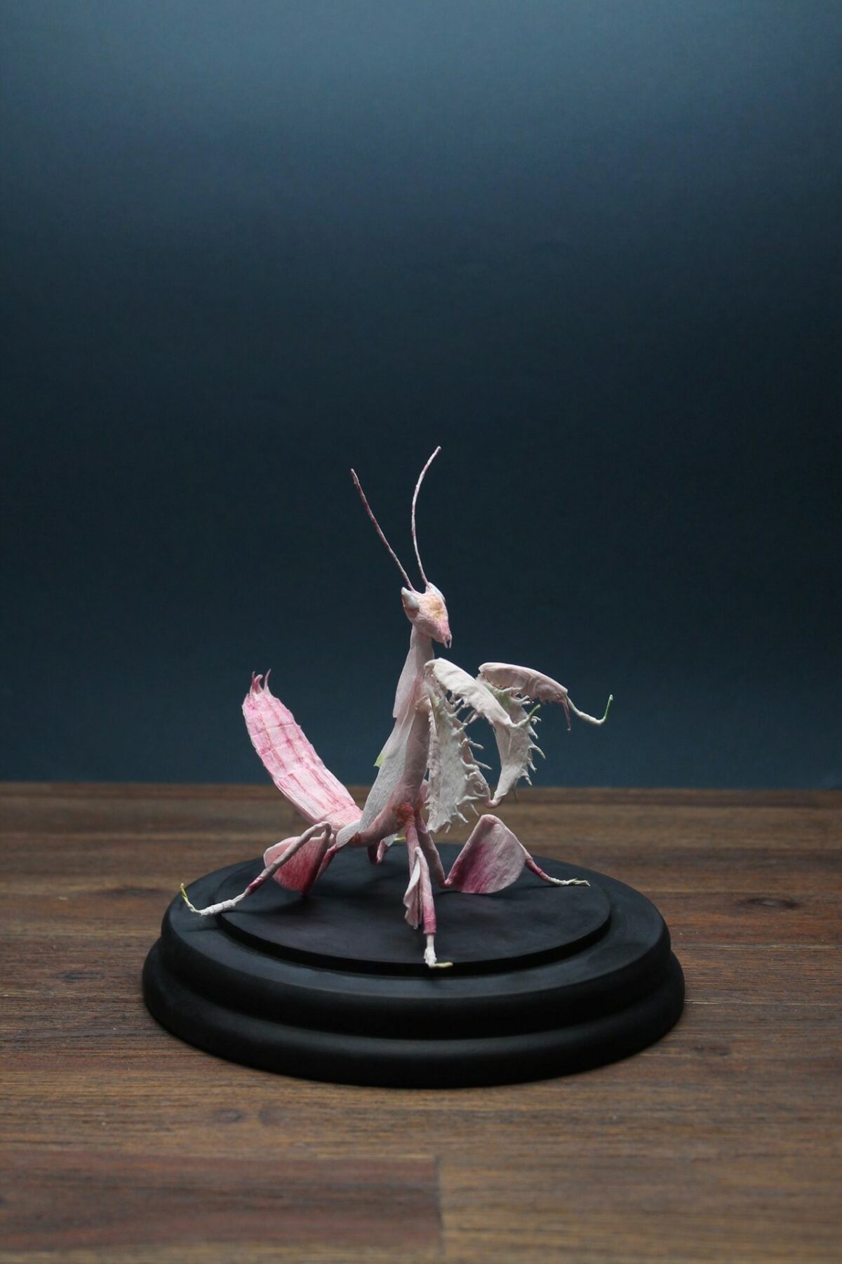 Life Like Paper Sculptures Of Animals And Plants By Tina Kraus 14