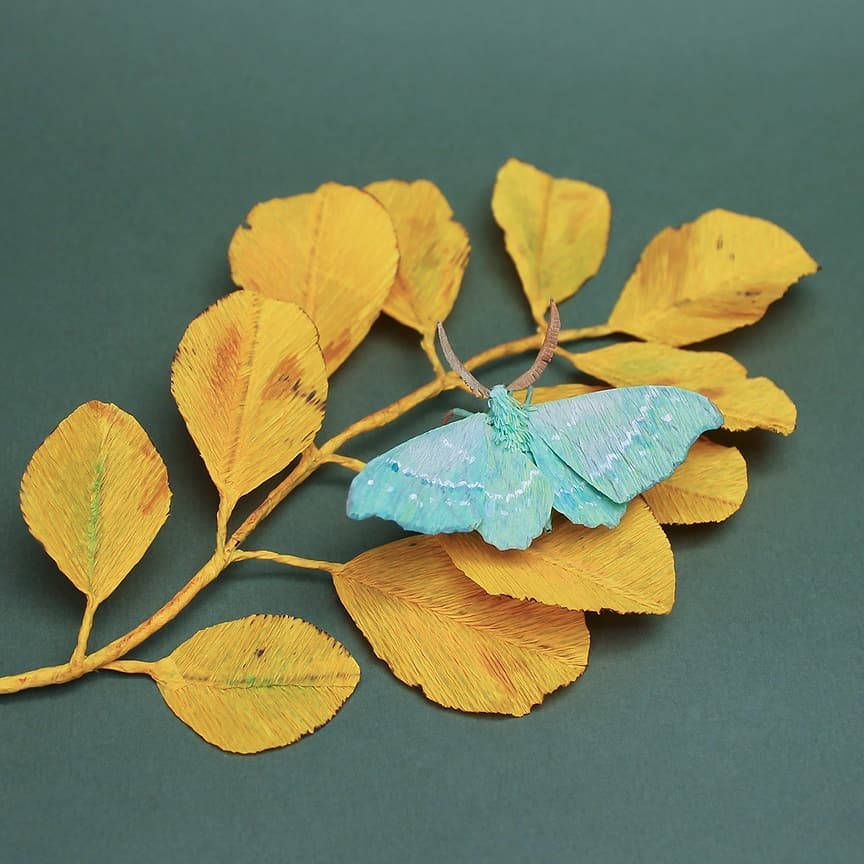 Life Like Paper Sculptures Of Animals And Plants By Tina Kraus 4