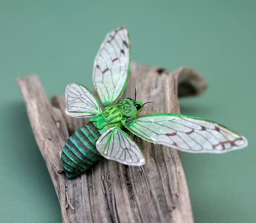 Life Like Paper Sculptures Of Animals And Plants By Tina Kraus 5
