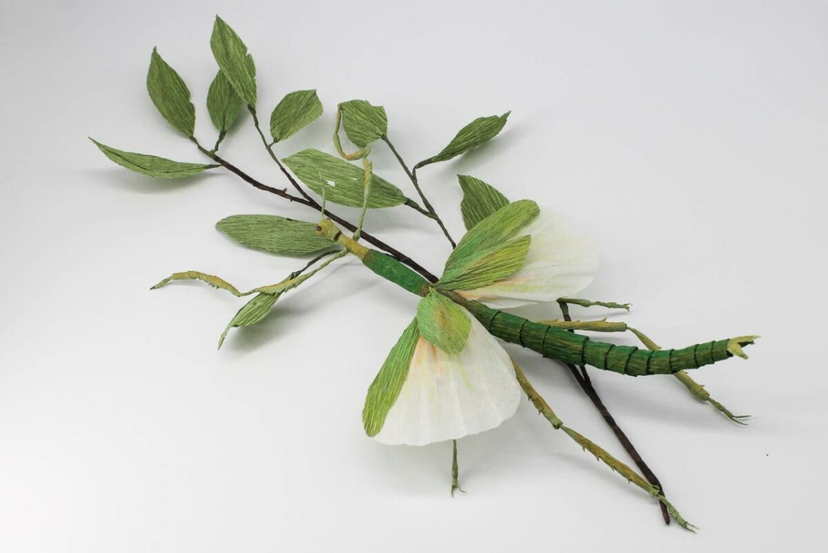 Life Like Paper Sculptures Of Animals And Plants By Tina Kraus 6