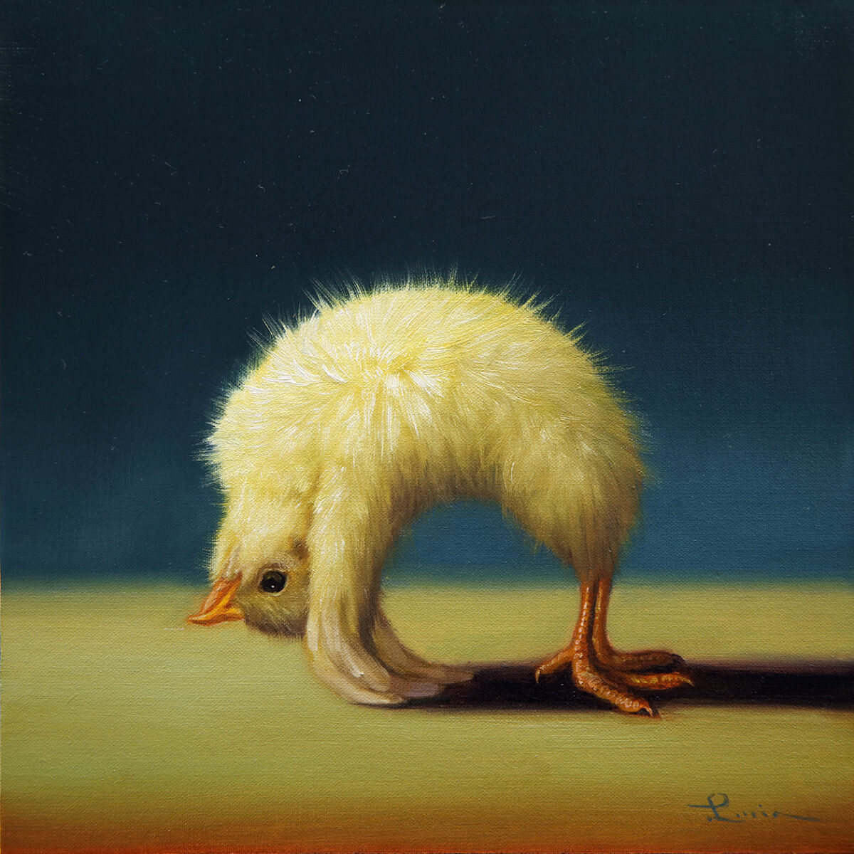 Lovely Paintings Of A Little Chicken Making Yoga Poses By Lucia Heffernan 10
