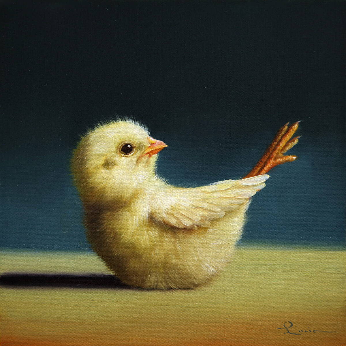Lovely Paintings Of A Little Chicken Making Yoga Poses By Lucia Heffernan 14