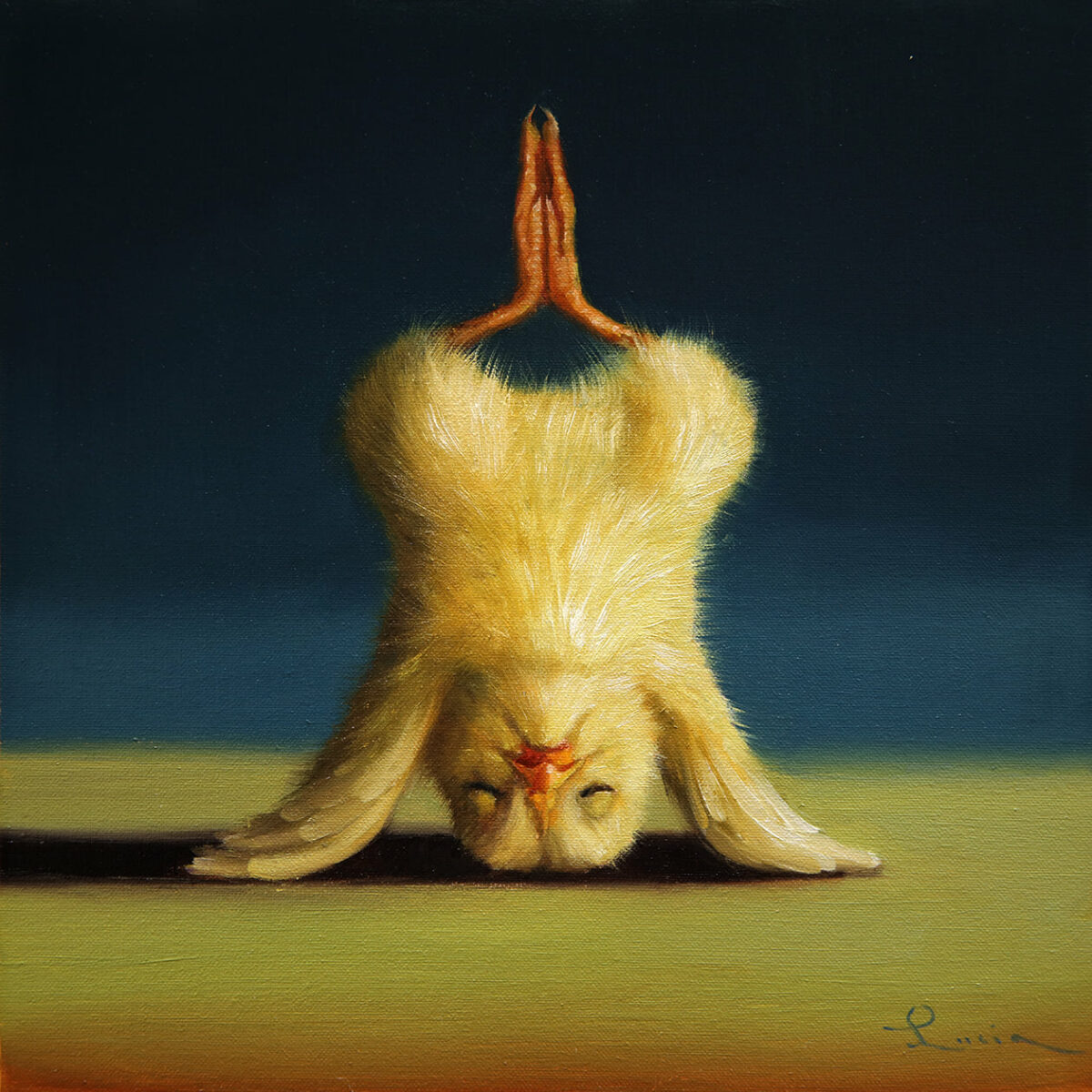 Lovely Paintings Of A Little Chicken Making Yoga Poses By Lucia Heffernan 2