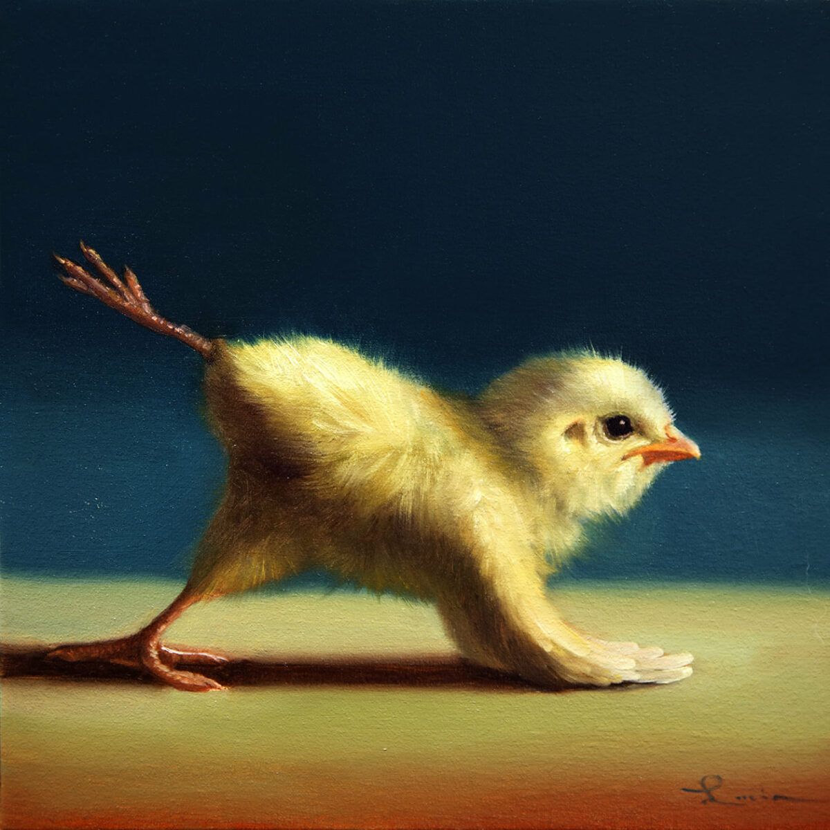 Lovely Paintings Of A Little Chicken Making Yoga Poses By Lucia Heffernan 3