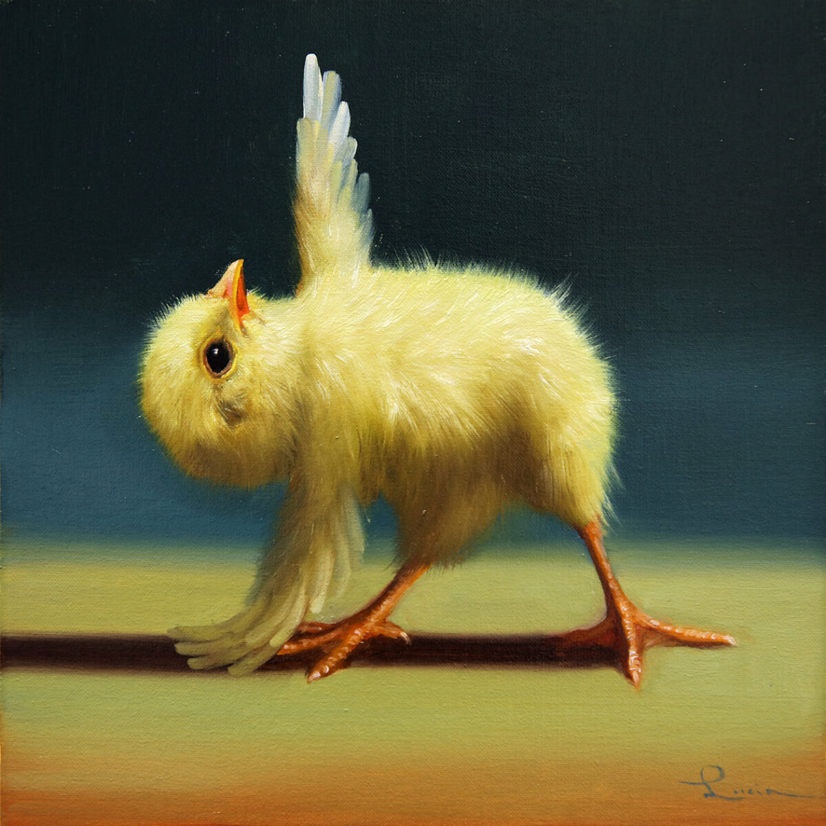 Lovely Paintings Of A Little Chicken Making Yoga Poses By Lucia Heffernan 7