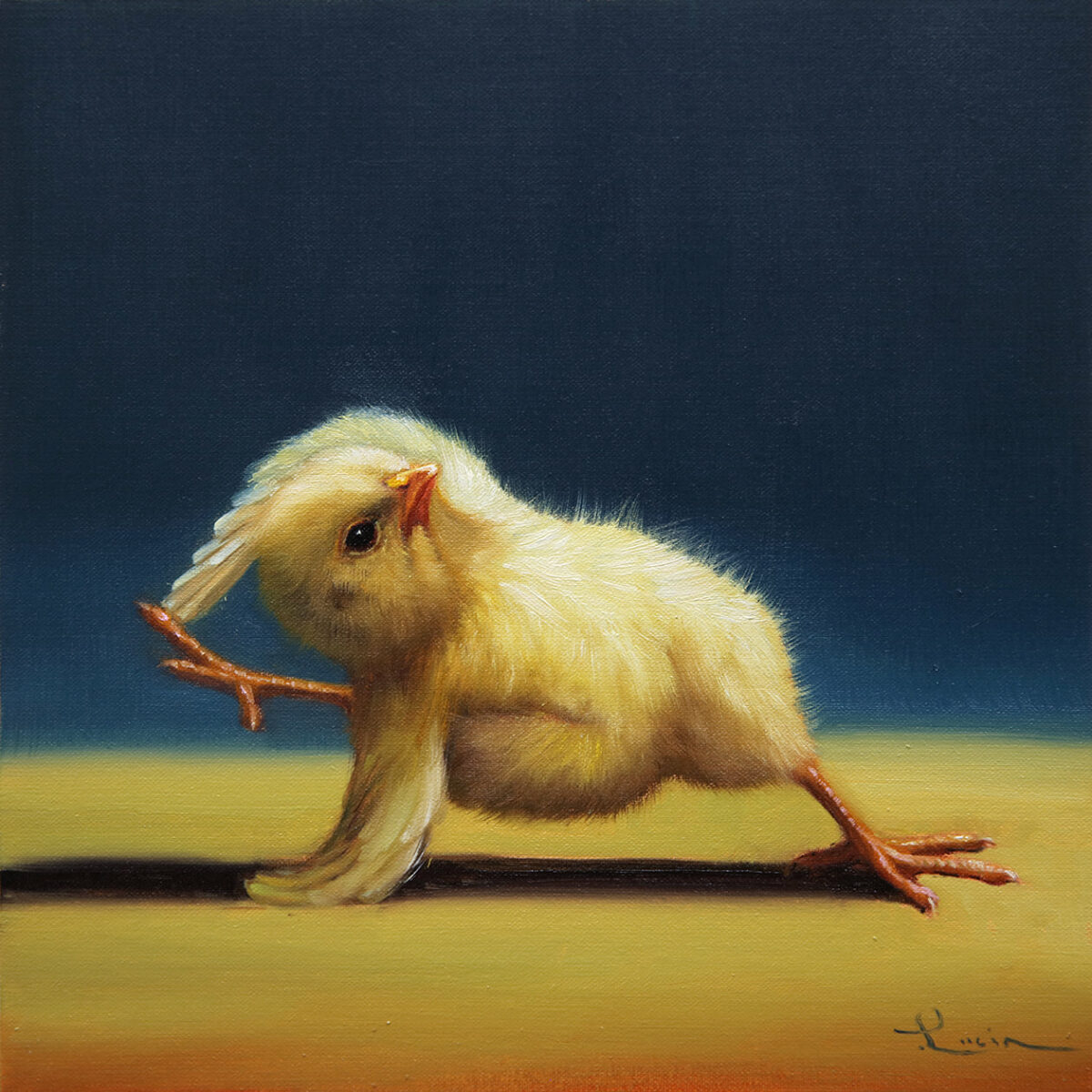 Lovely Paintings Of A Little Chicken Making Yoga Poses By Lucia Heffernan 8