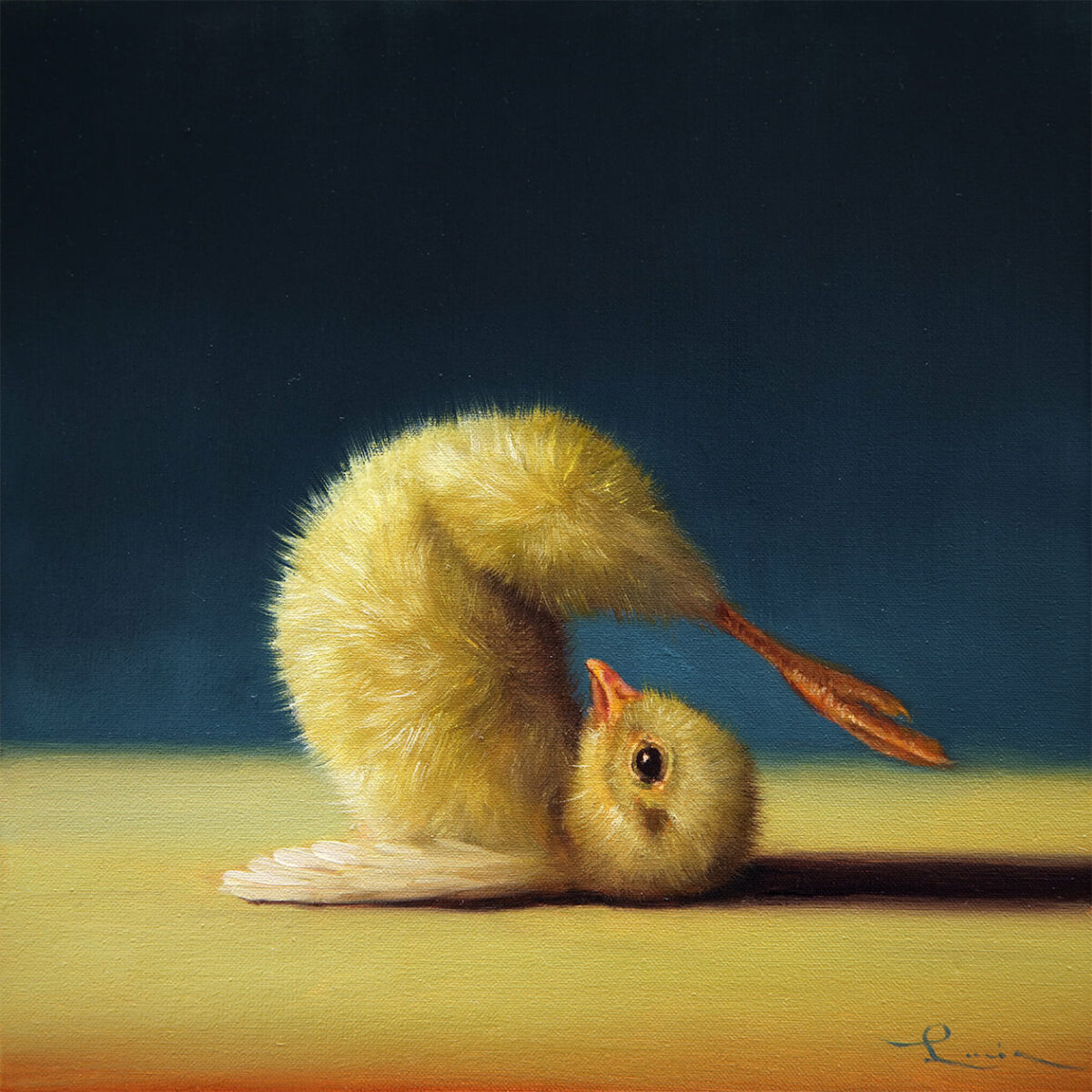 Lovely Paintings Of A Little Chicken Making Yoga Poses By Lucia Heffernan 9