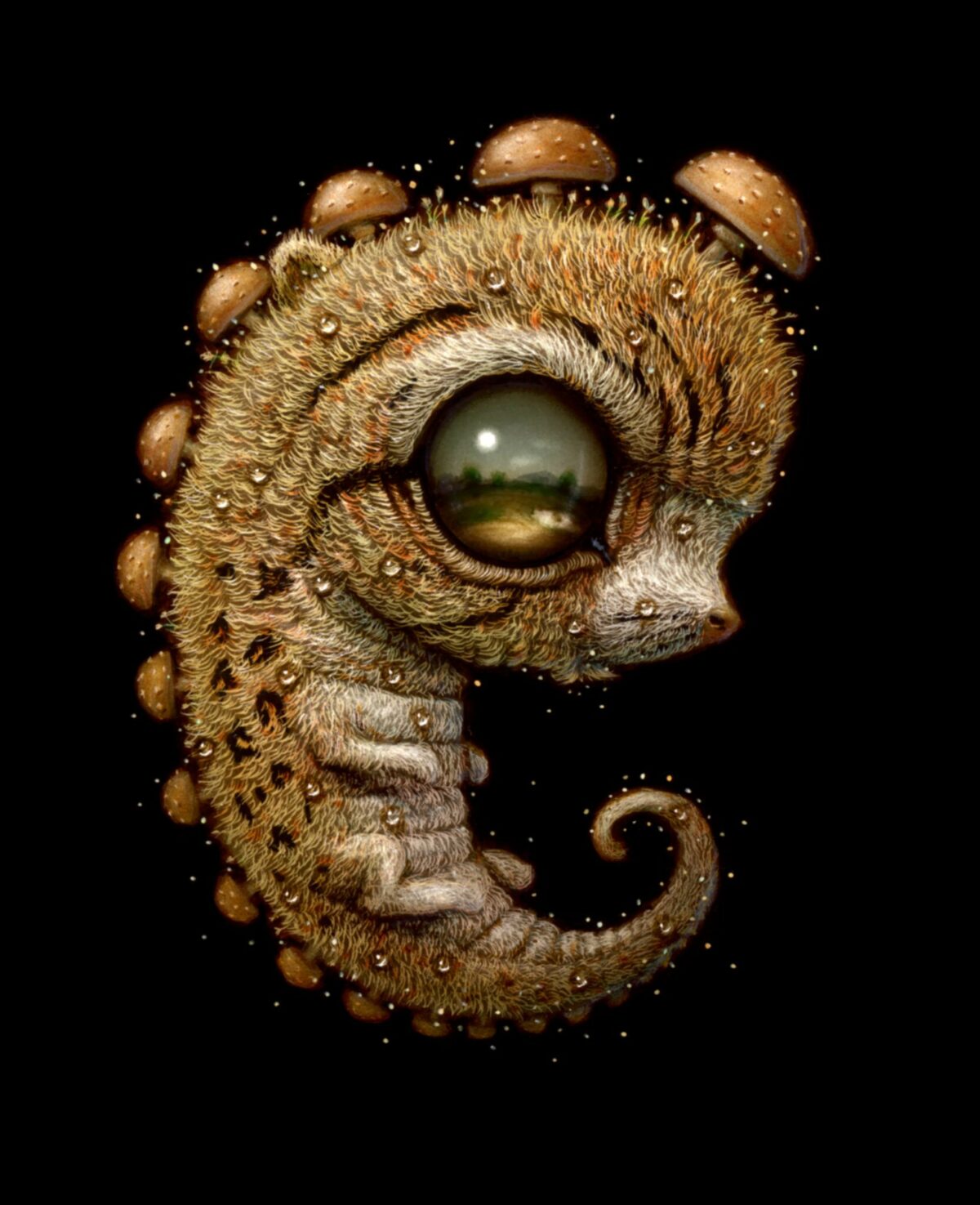 Quirky Fantastical Creatures With Oversized Eyes By Haoto Nattori 9