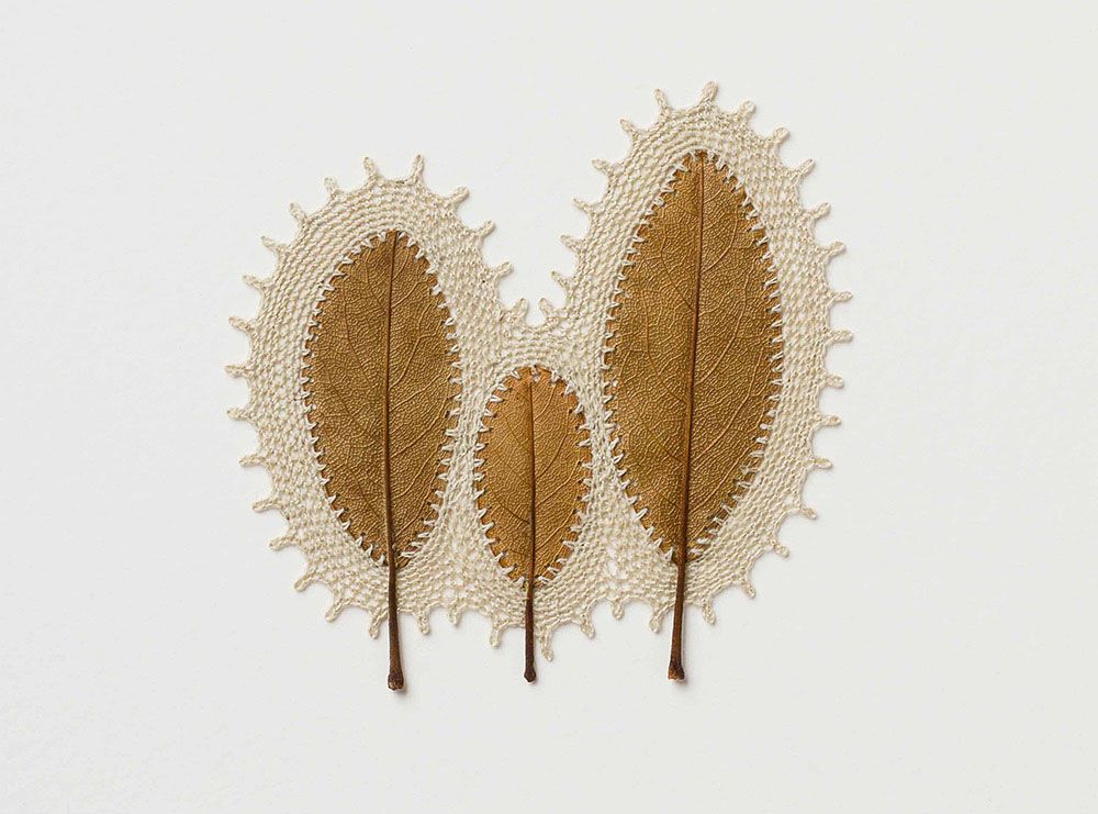 Beautiful Sculptures Of Dried Leaves Crocheted Delicate Patterns By Susanna Bauer 11