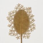 Beautiful sculptures of dried leaves crocheted with delicate patterns by Susanna Bauer