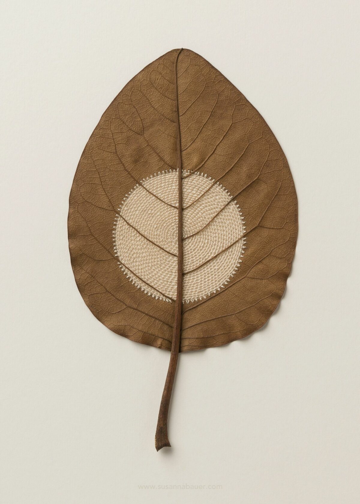 Beautiful Sculptures Of Dried Leaves Crocheted Delicate Patterns By Susanna Bauer 25