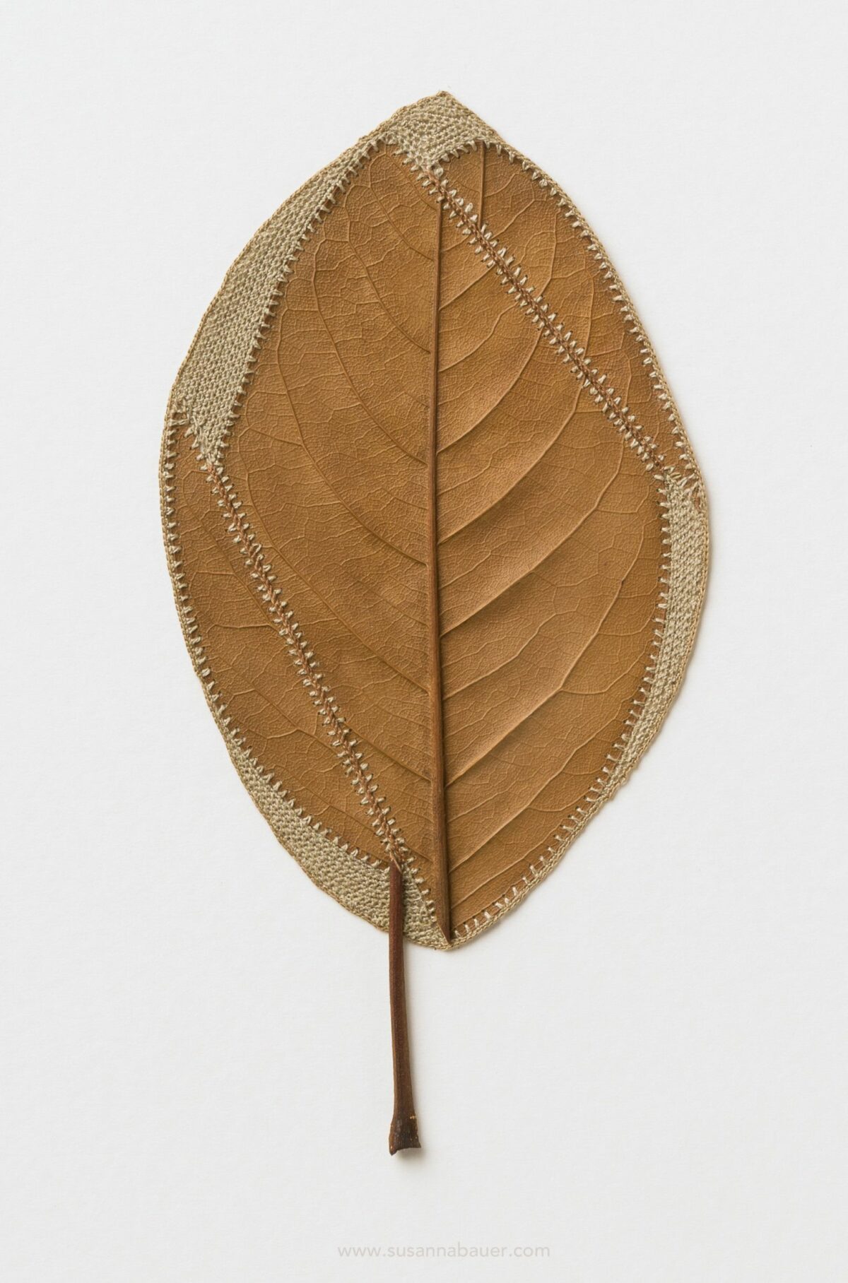 Beautiful Sculptures Of Dried Leaves Crocheted Delicate Patterns By Susanna Bauer 26