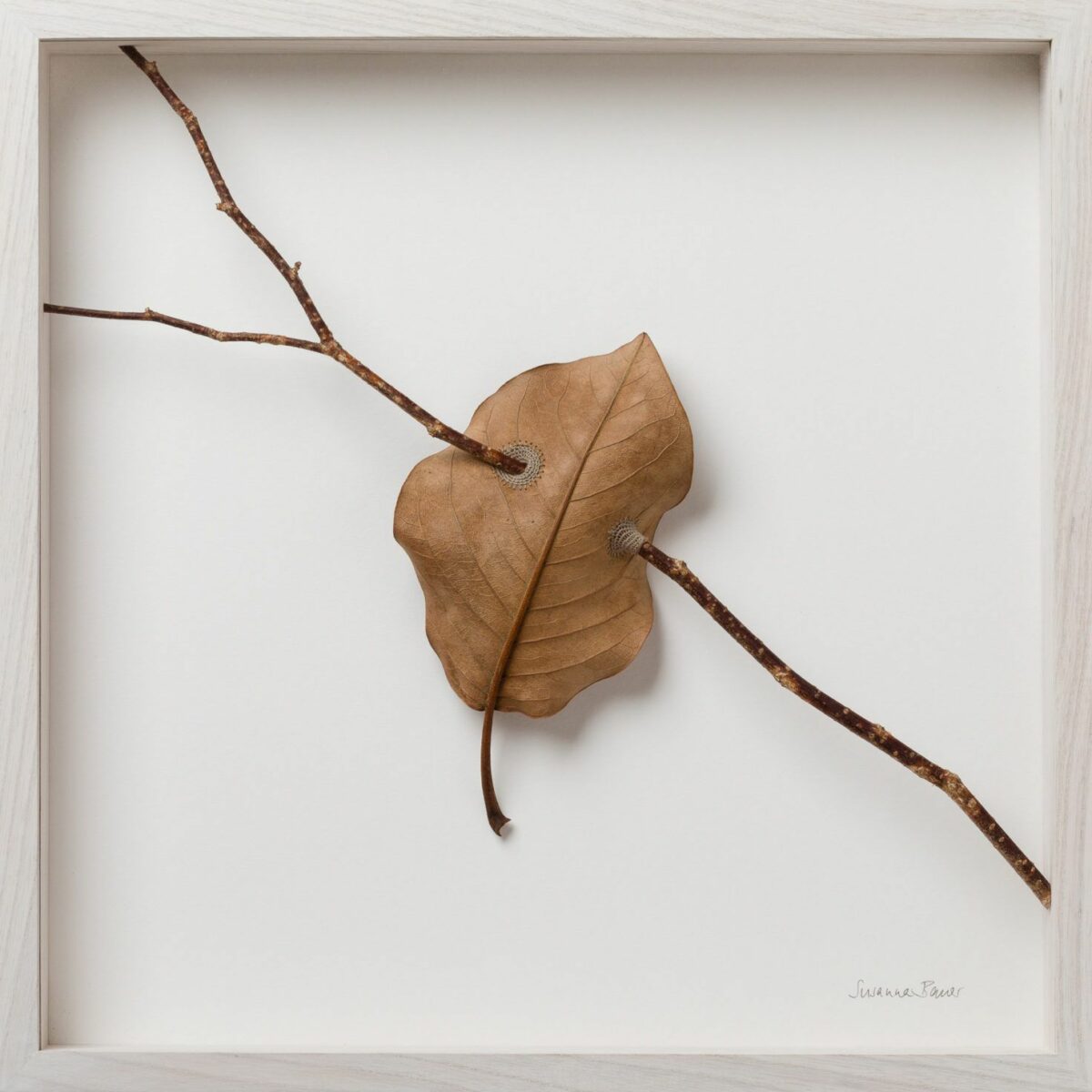 Beautiful Sculptures Of Dried Leaves Crocheted Delicate Patterns By Susanna Bauer 28