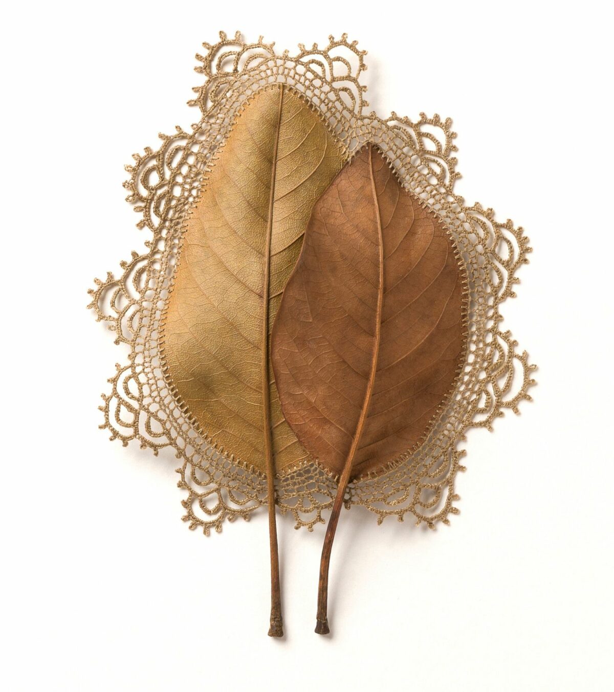 Beautiful Sculptures Of Dried Leaves Crocheted Delicate Patterns By Susanna Bauer 29