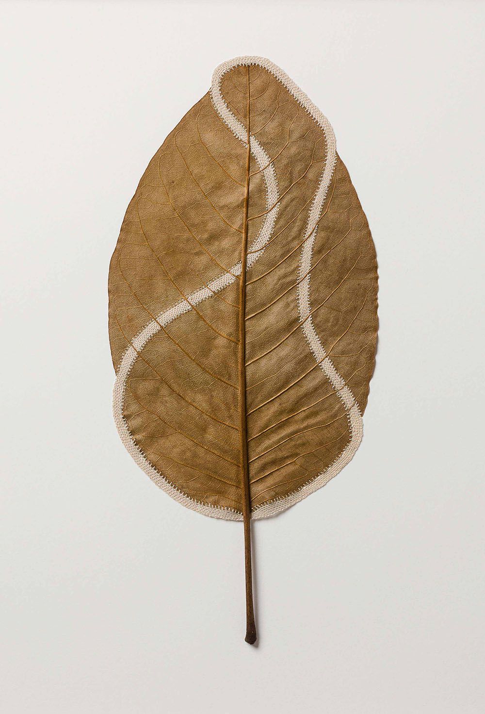 Beautiful Sculptures Of Dried Leaves Crocheted Delicate Patterns By Susanna Bauer 4