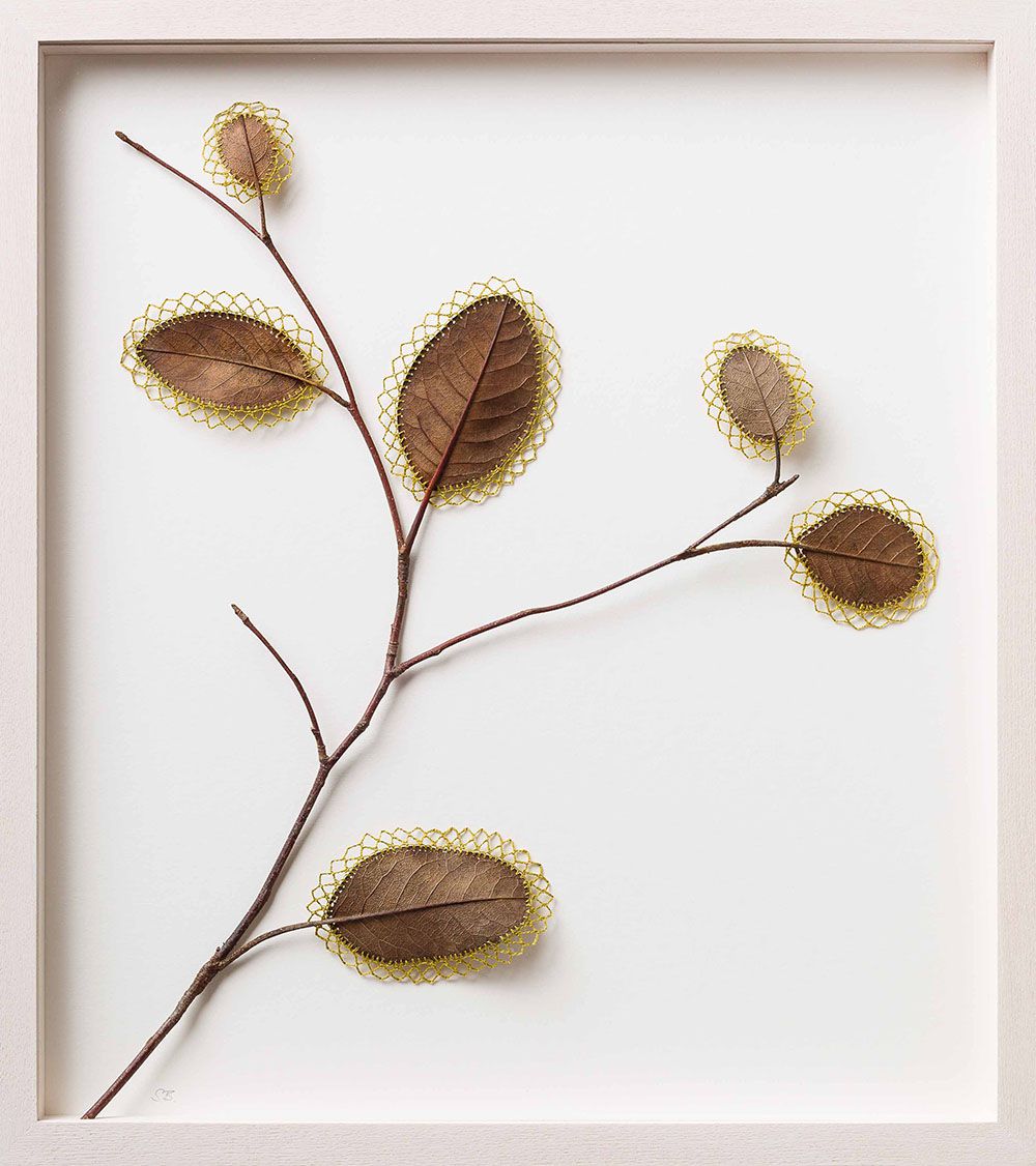 Beautiful Sculptures Of Dried Leaves Crocheted Delicate Patterns By Susanna Bauer 5